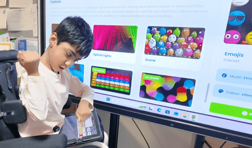 Support Choice Making And Learner Preferences