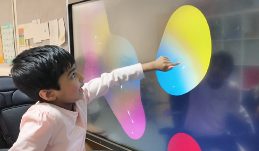 Activities Organised