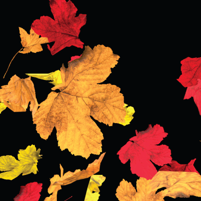 Card Leaves
