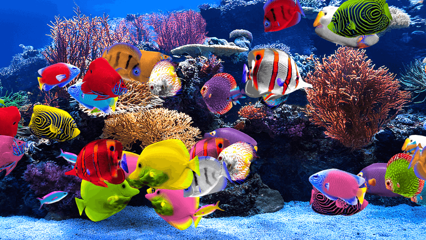 Sensory Space Aquarium