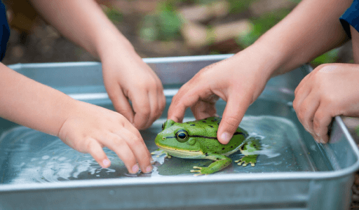 How This Pack Supports Learners