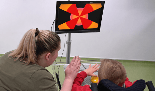 Accessible Through The Learner