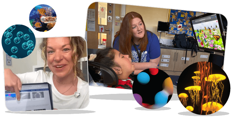 Calm And Regulation Header