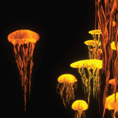 Card Jelly Fish